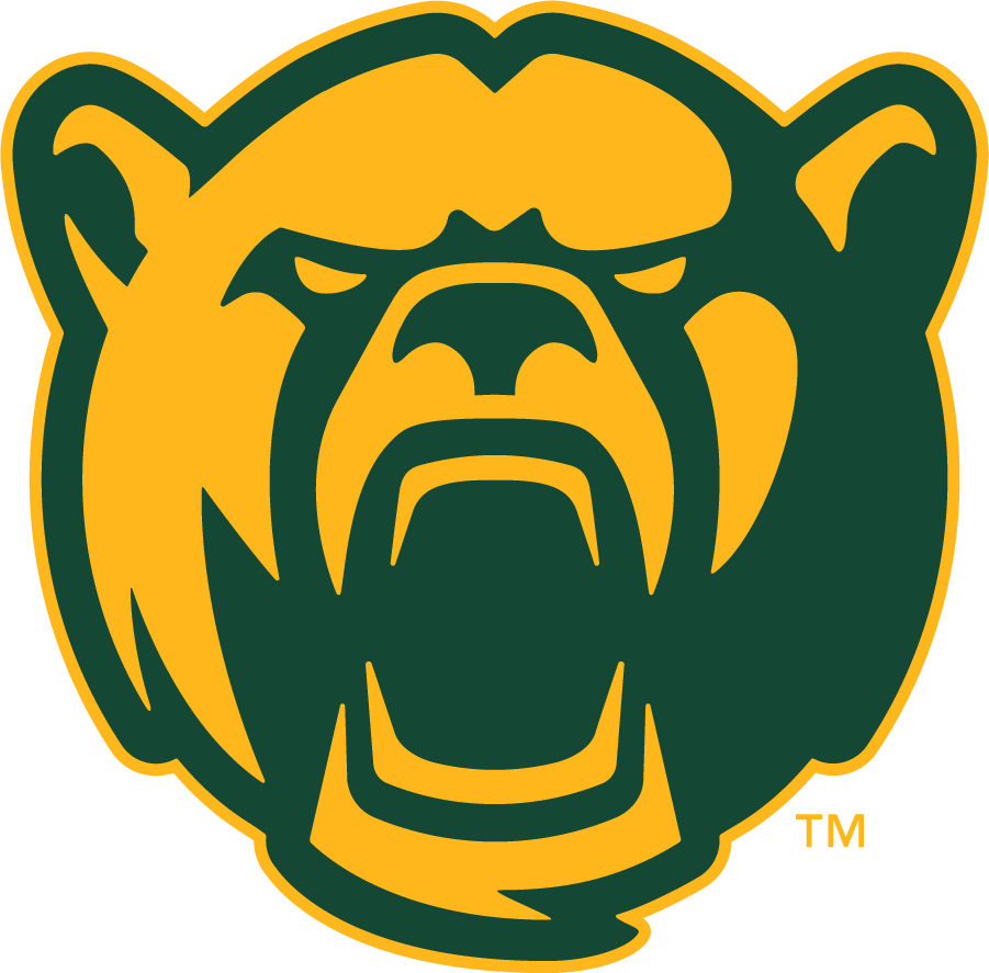 Baylor Bears 2019-Pres Secondary Logo diy iron on heat transfer
